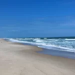 Carolina Beach State Park