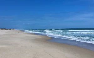 Carolina Beach State Park