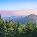 Mount Mitchell State Park