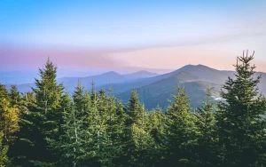 Mount Mitchell State Park