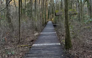 Weymouth Woods-Sandhills Nature Preserve