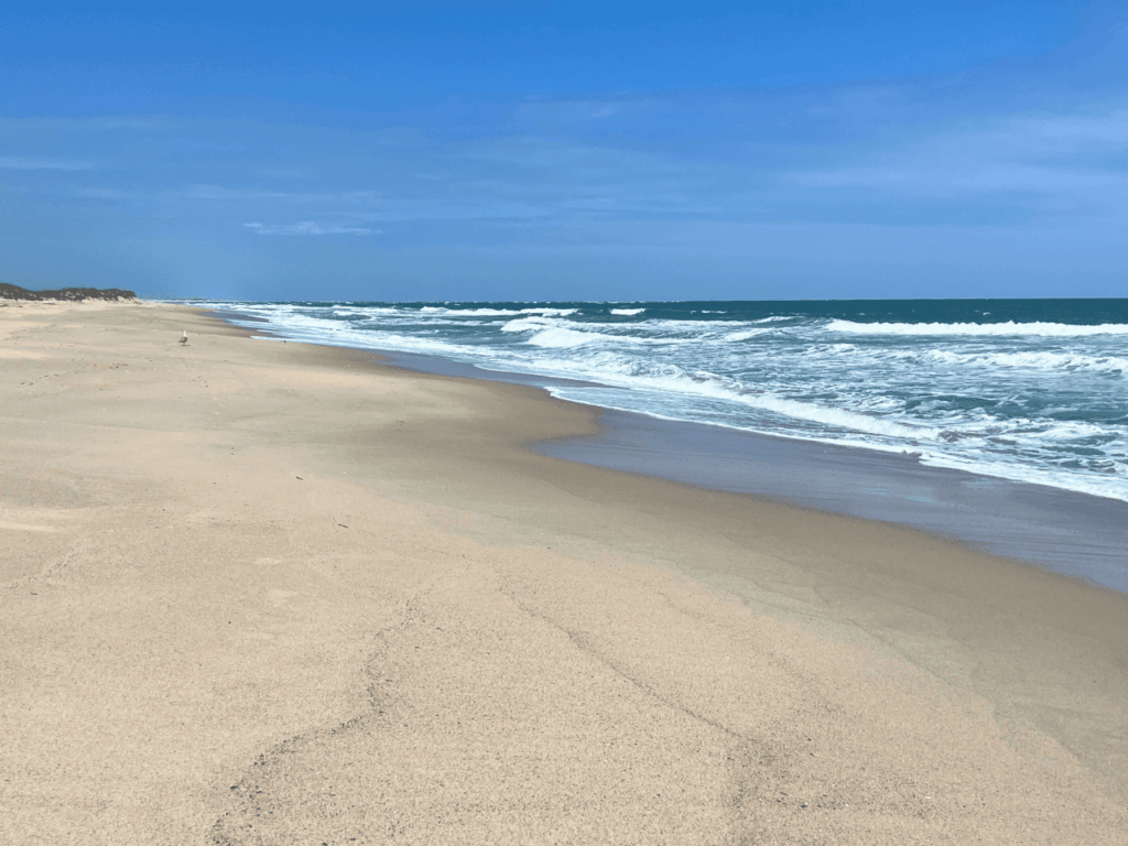 Carolina Beach 1024x768