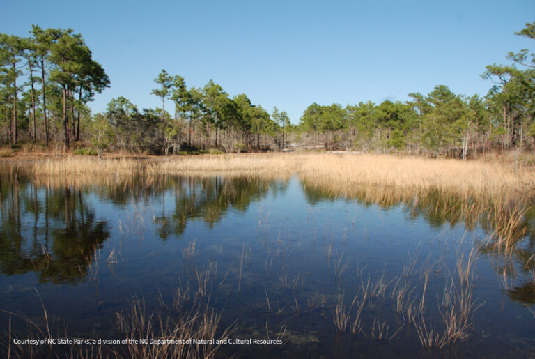 Carolina Beach SP 2 768x515