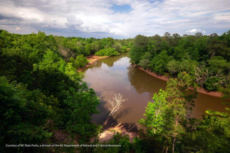 Cliffs of the Neuse SP 2 768x512