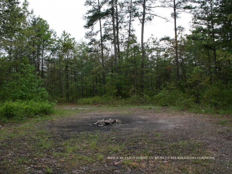 DevilsTrampingGround 768x576