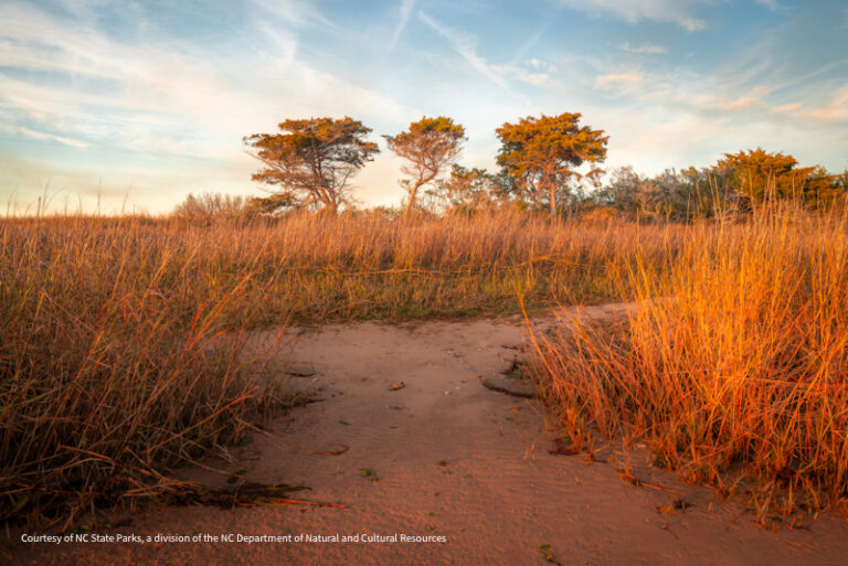 Fort Fisher SRA 2 768x513