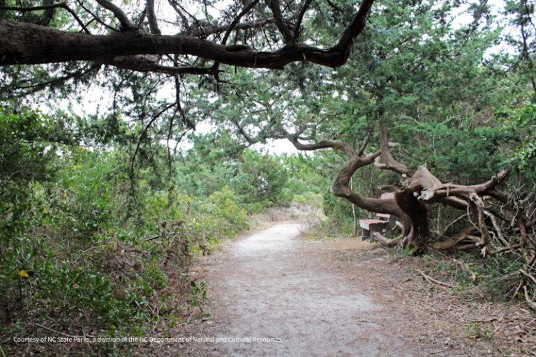 Fort Macon SP 2 768x512