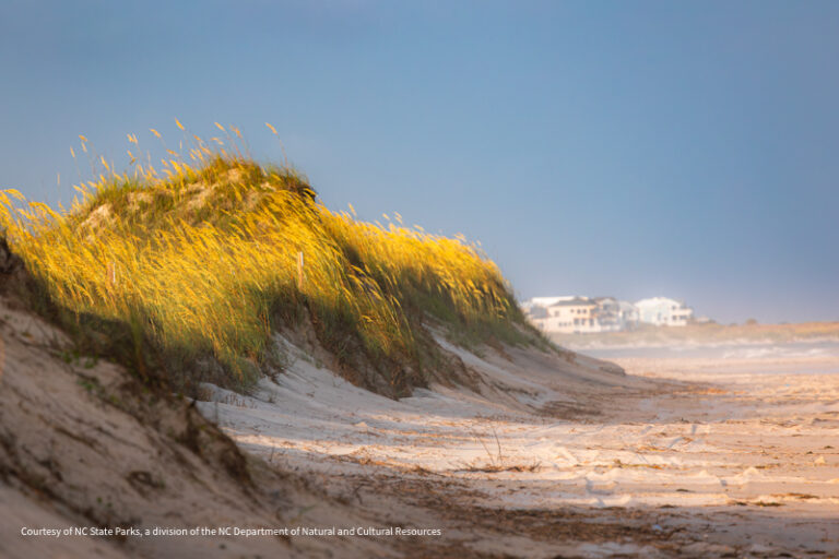 Hammocks Beach SP 2 768x512