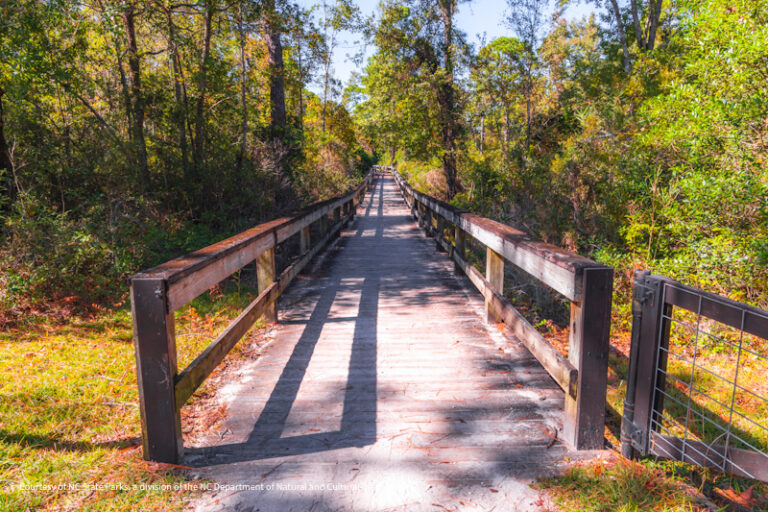 Lake Waccamaw SP 2 768x512