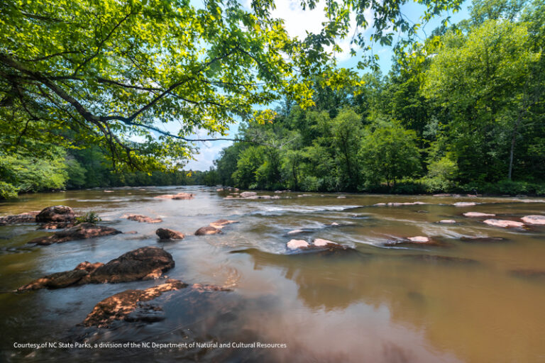 Mayo River SP 2 2 768x512