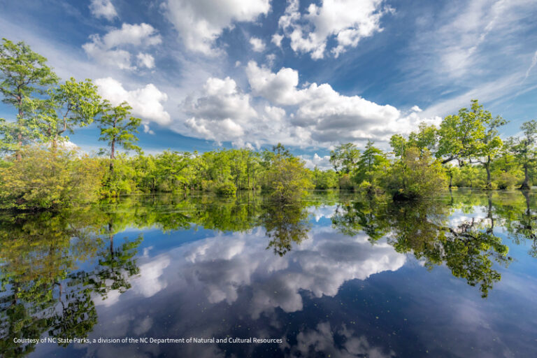 Merchants Millpond SP 2 768x512