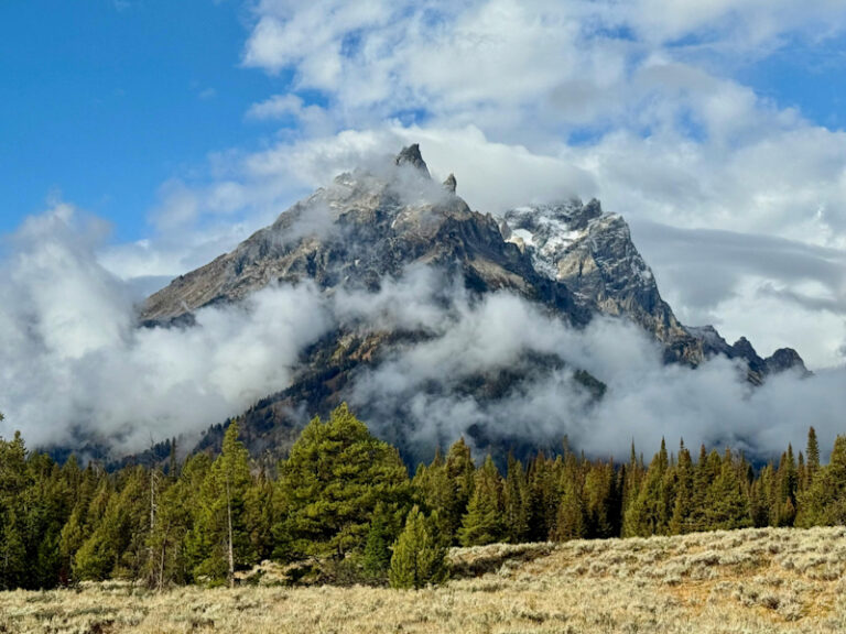 Outpost Images 109 768x576