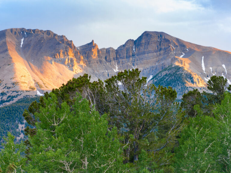 Outpost Images 110 768x576