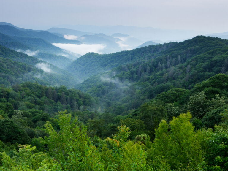 Outpost Images 117 768x576
