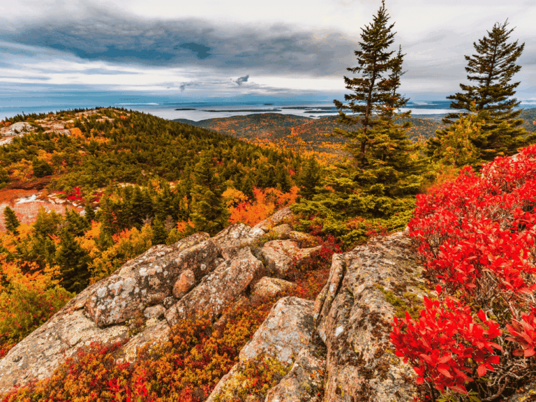 Outpost Images 12 768x576