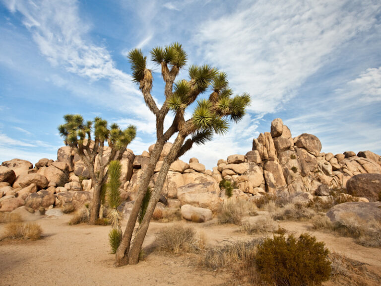 Outpost Images 137 768x576
