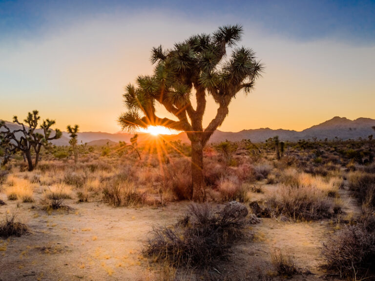Outpost Images 138 768x576