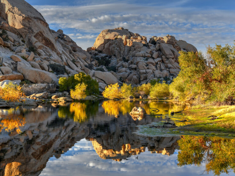 Outpost Images 139 768x576