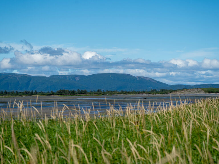 Outpost Images 142 768x576