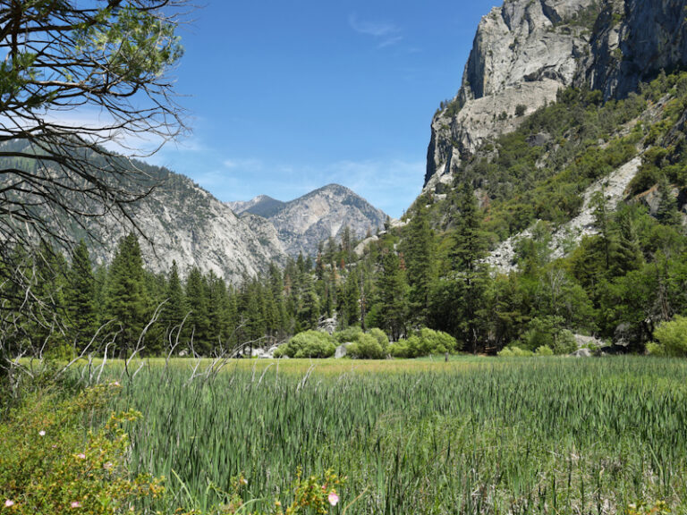 Outpost Images 149 768x576