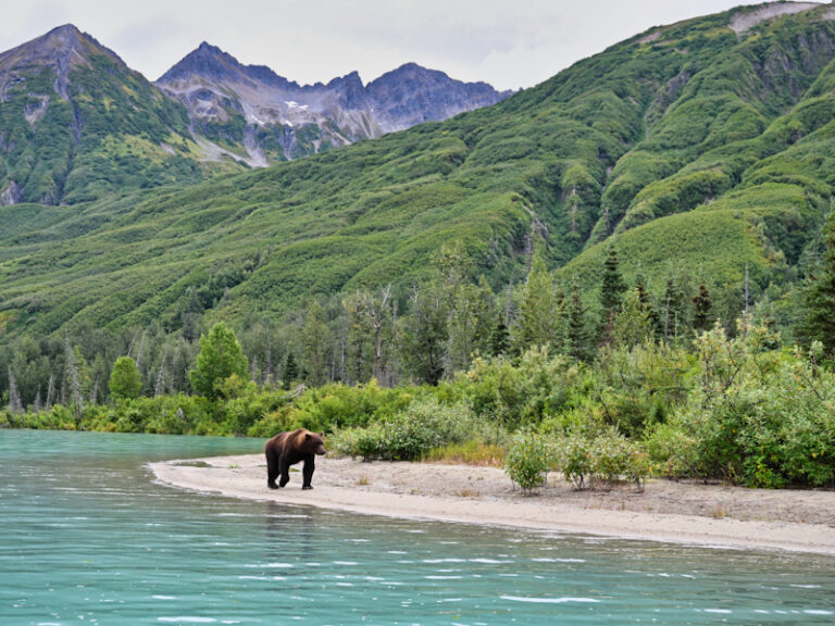 Outpost Images 151 768x576