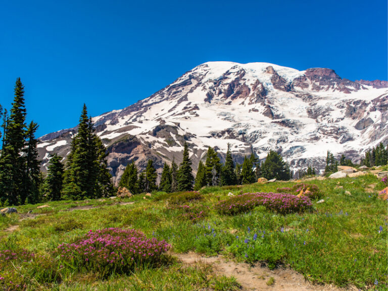 Outpost Images 160 768x576