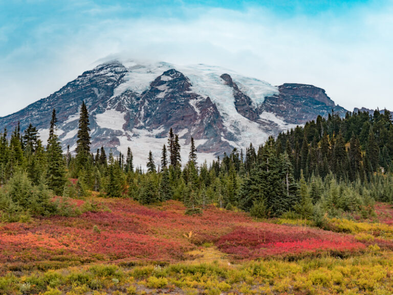 Outpost Images 161 768x576