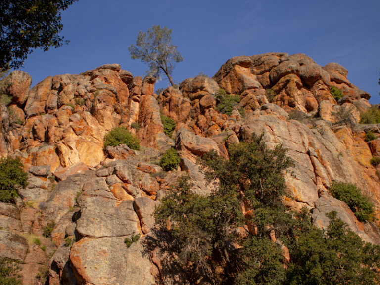 Outpost Images 173 768x576