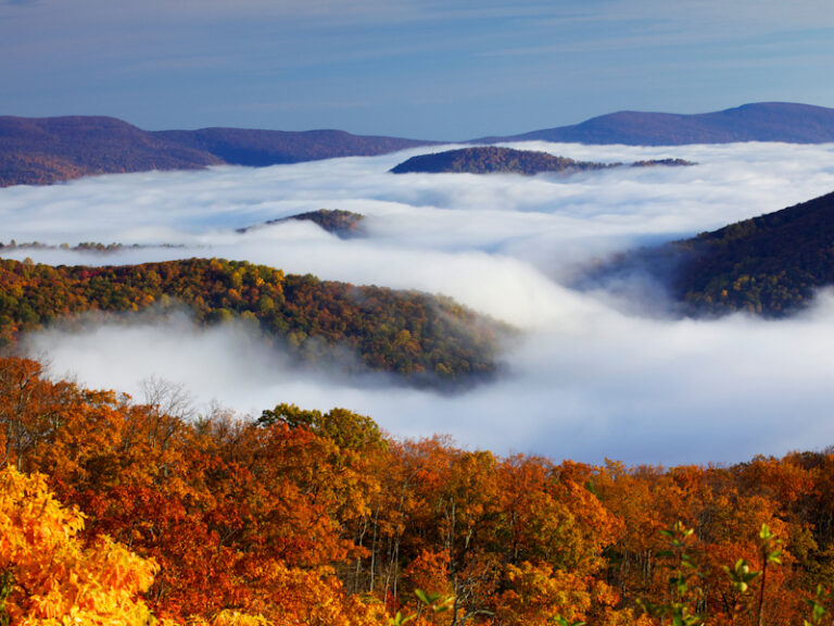 Outpost Images 184 768x576