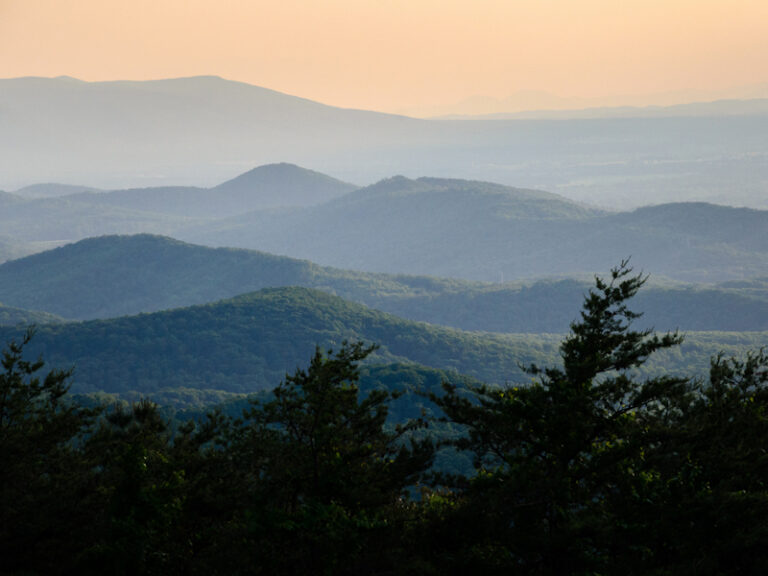 Outpost Images 185 768x576