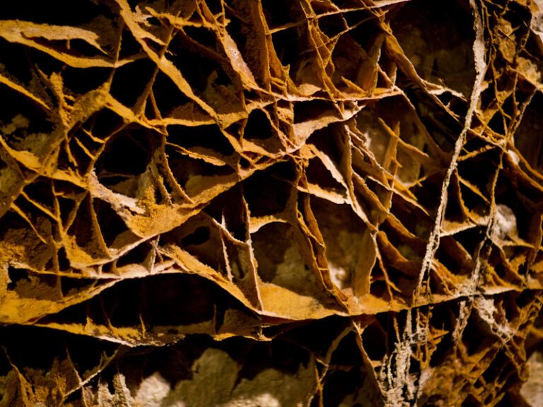Outpost Images 194 768x576