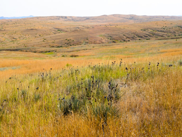 Outpost Images 228 768x576