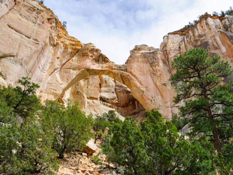Outpost Images 246 768x576