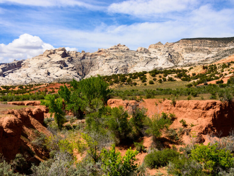 Outpost Images 248 768x576