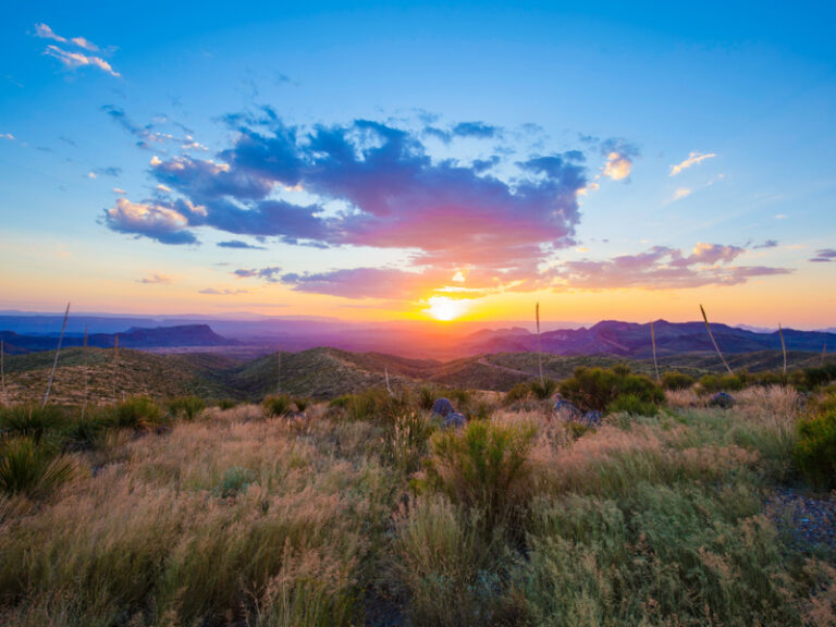Outpost Images 50 768x576