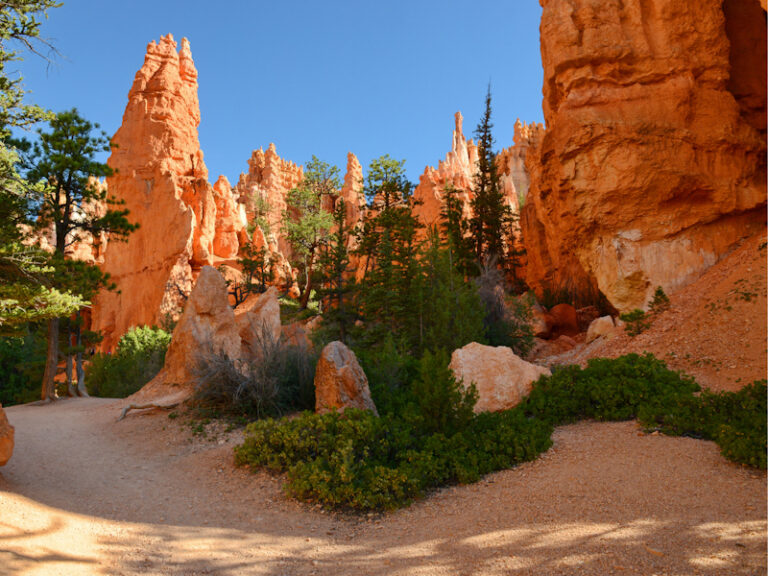 Outpost Images 58 768x576