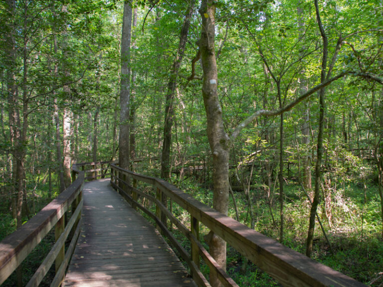 Outpost Images 72 768x576