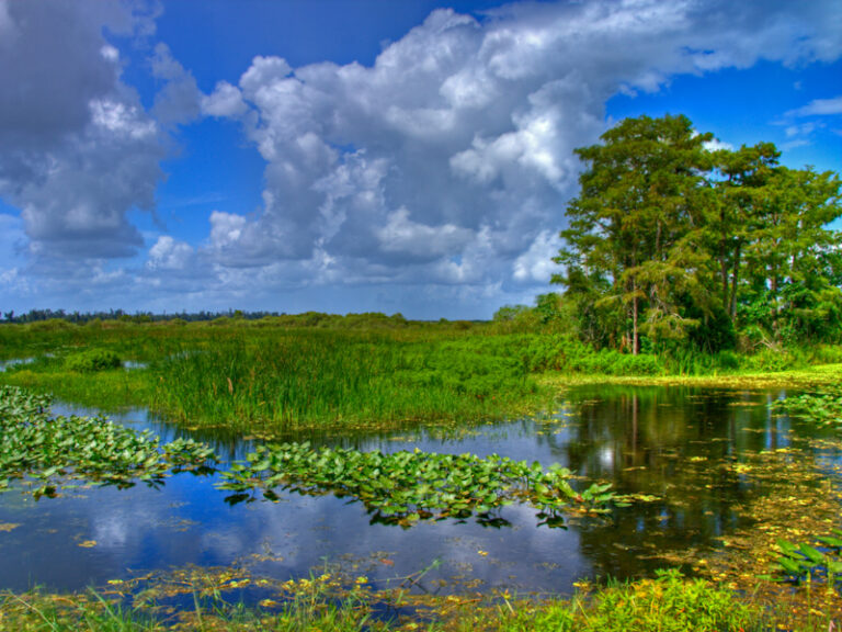 Outpost Images 88 768x576