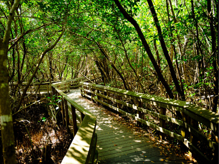 Outpost Images 90 768x576