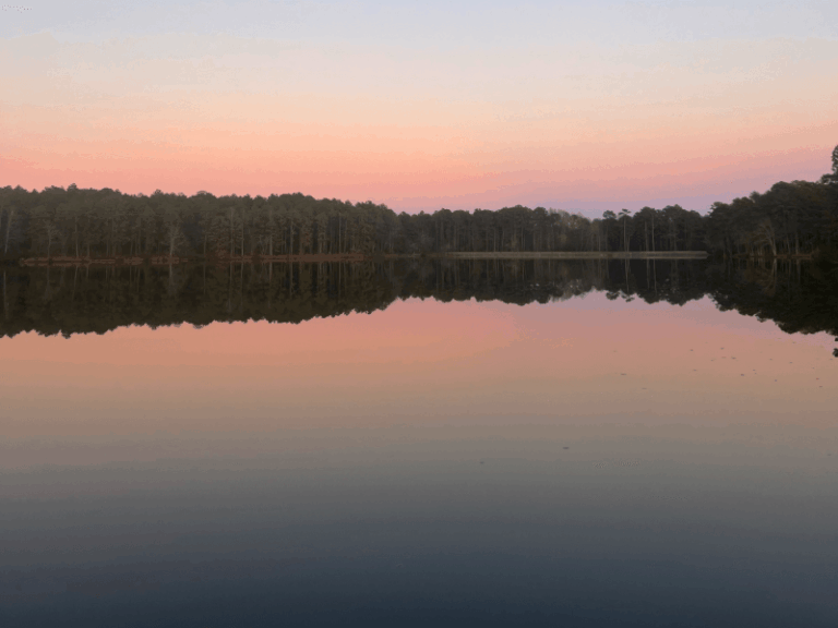 Reservoir Park 3 768x576