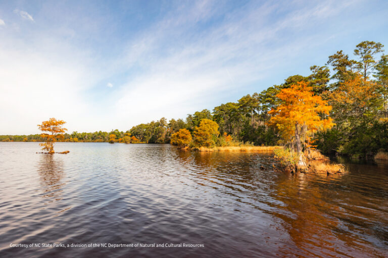 Singletary Lake SP 2 768x512
