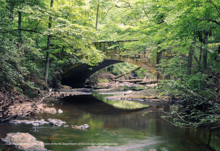 William B Umstead SP 2 768x530