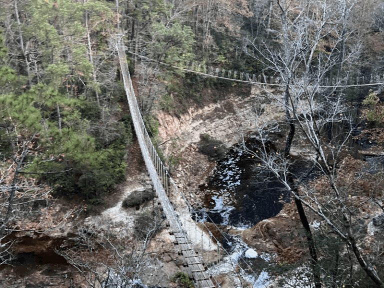 ZipQuest1 768x576